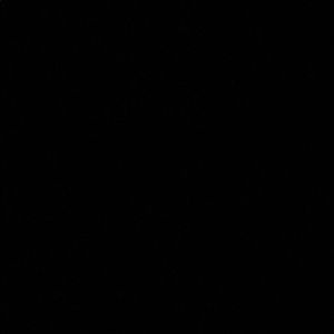 Meet your Posher, Lara